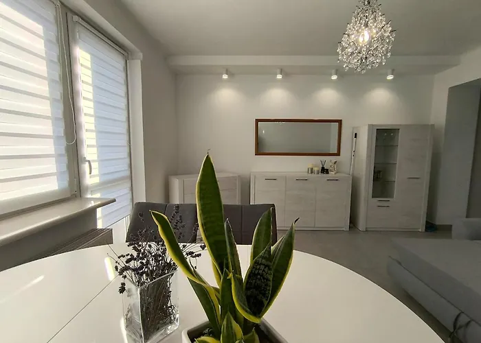 Przy Cukierni * Knurów