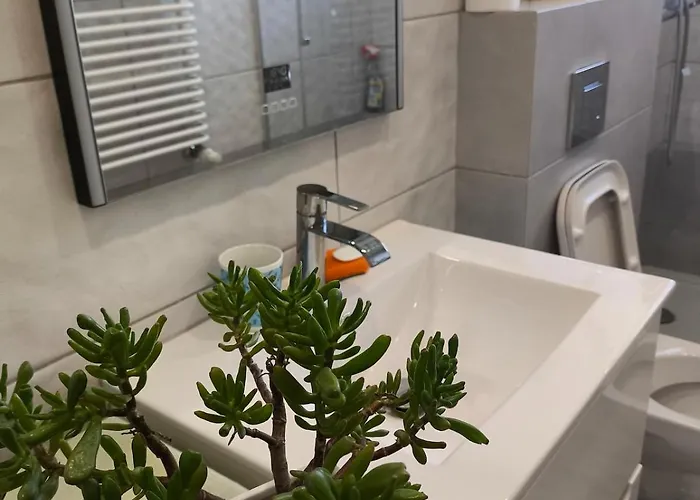 Przy Cukierni Knurów